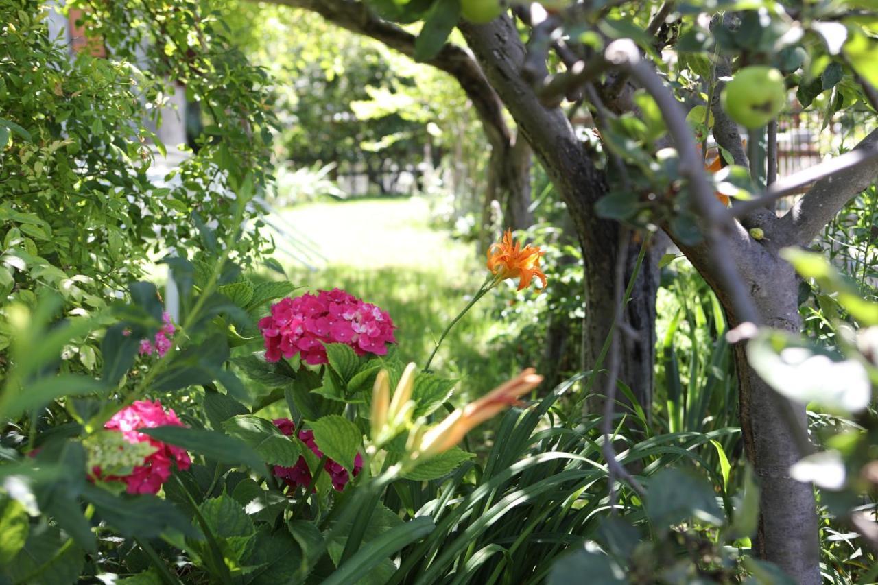 Le Rosier B&B E Appartamento Saint-Vincent Exterior foto
