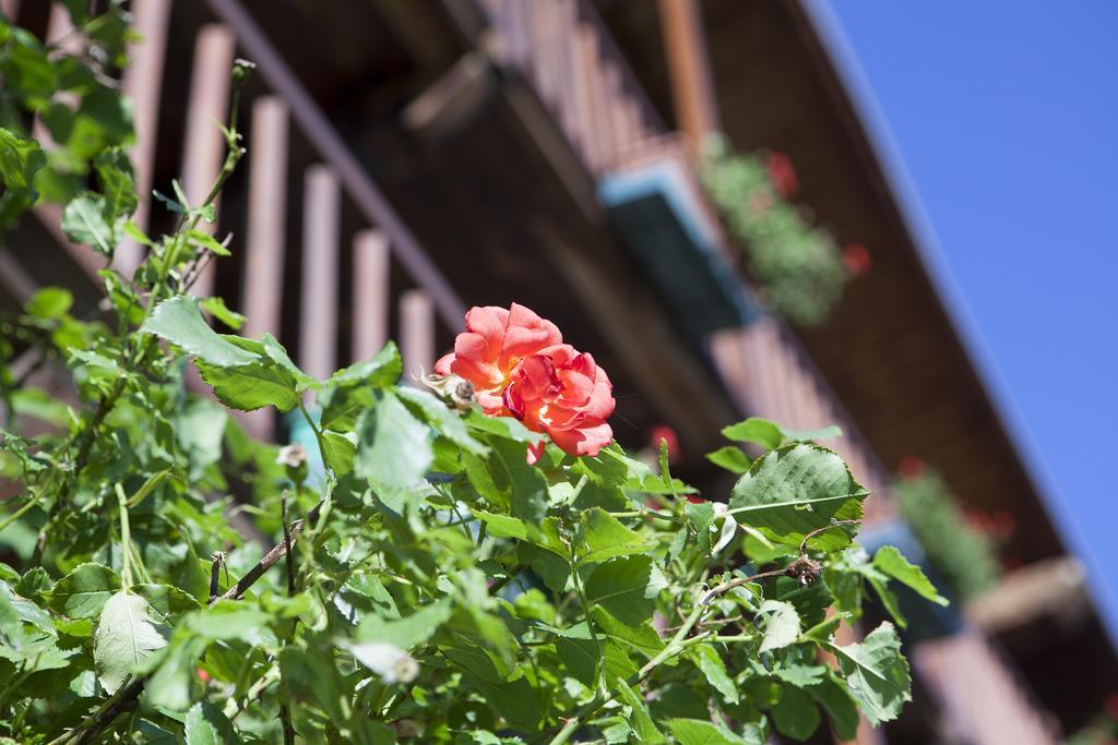 Le Rosier B&B E Appartamento Saint-Vincent Exterior foto